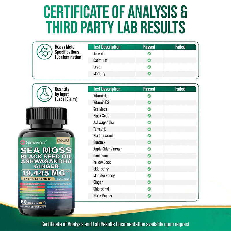 Sea Moss Supplement for Immune Support