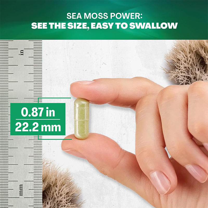 Sea Moss Supplement for Immune Support