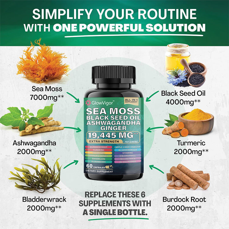 Sea Moss Supplement for Immune Support